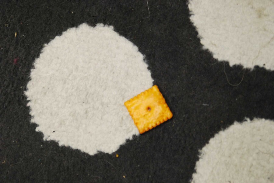 Bait left in the Radio Room for the original cockroach that was seen. More than merely a processed food snack, the color of the Cheez-it also works as a great aesthetic touch that can be used as bait. 
