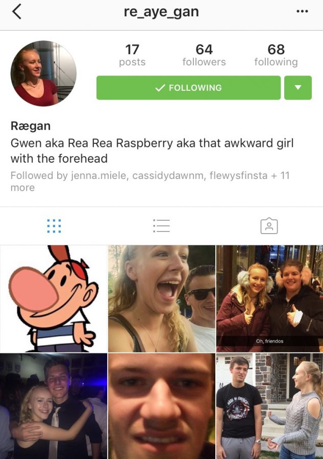 Senior Reagan Kings finstagram shows off some of the less serious posts on this outlet. 