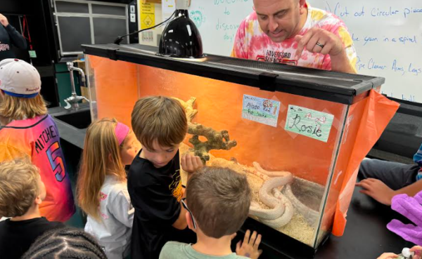 Science teacher Nick Bilotti feeds a mouse to albino red rat snake, Rosie. 